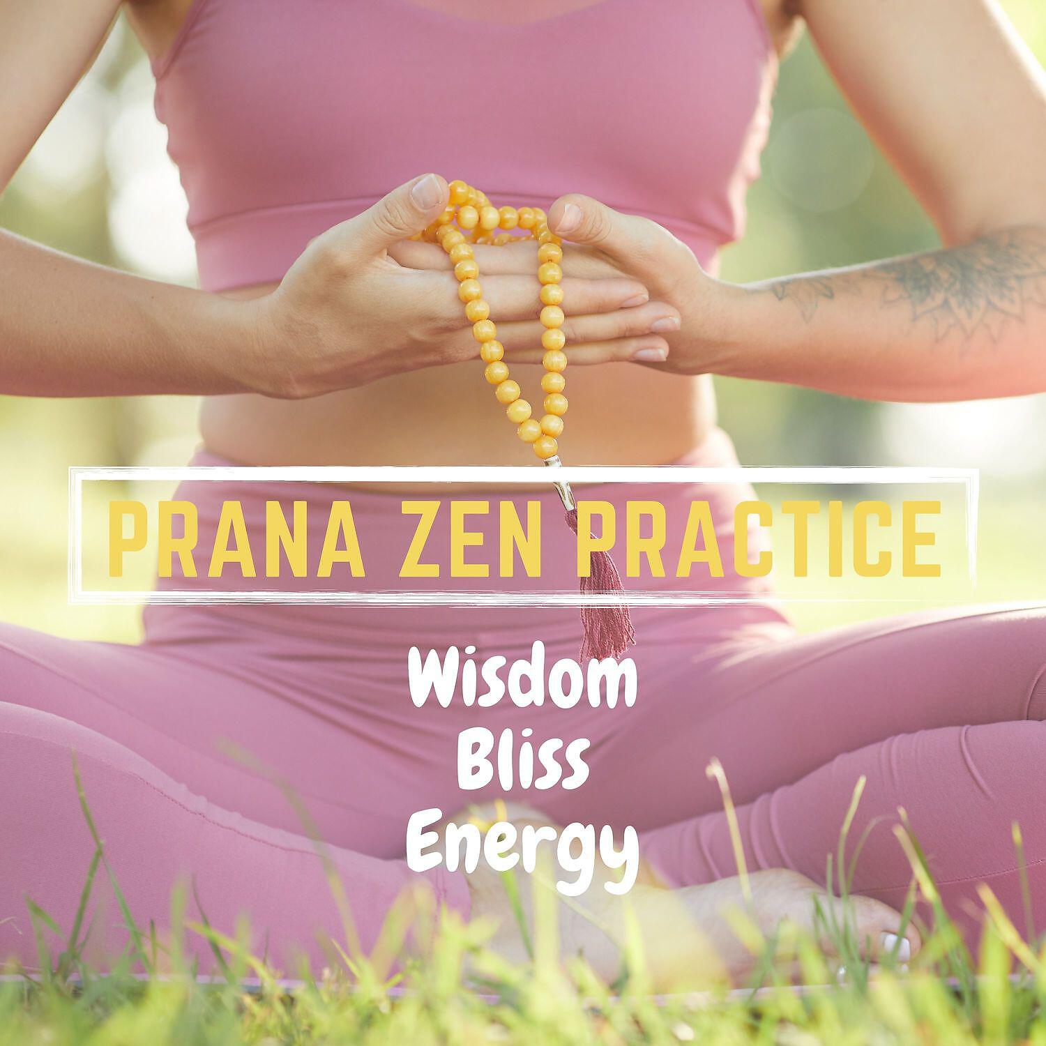 Релиз Prana Zen Practice: Wisdom, Bliss, Energy