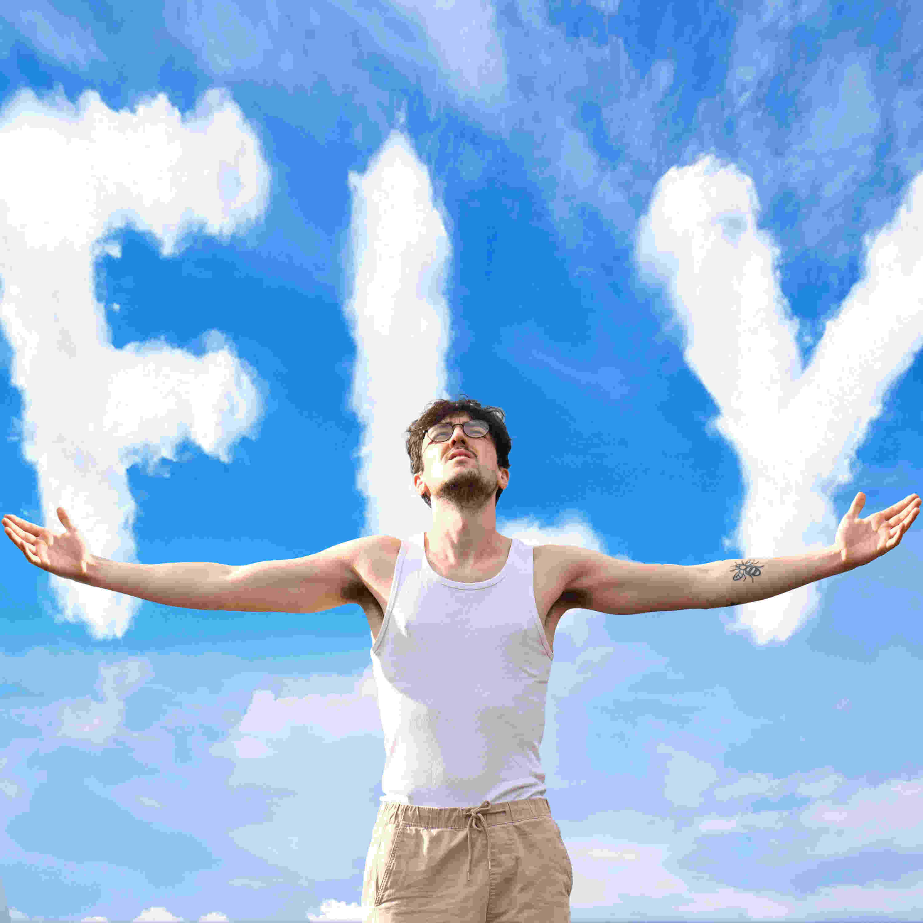 Постер альбома Fly