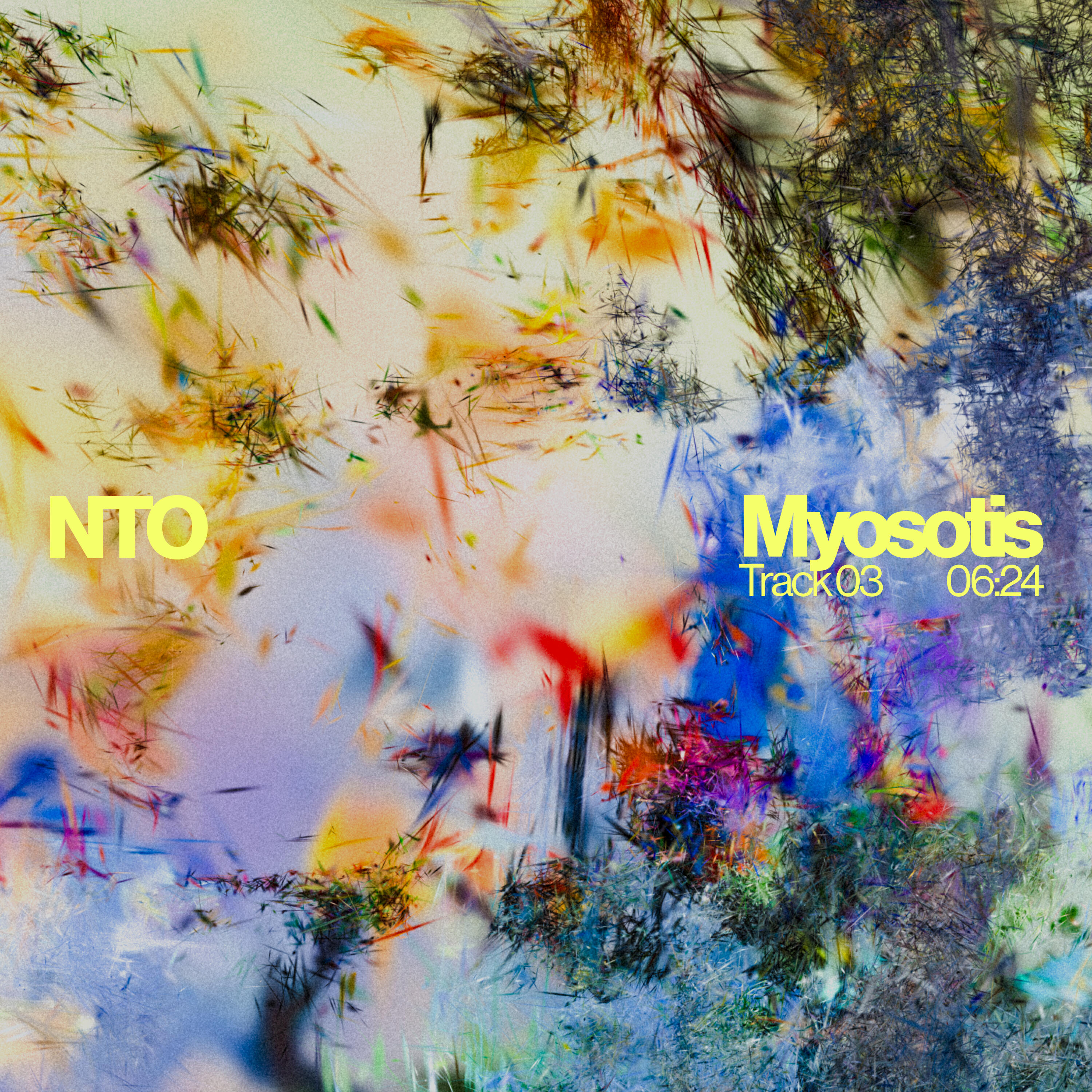 Релиз Myosotis