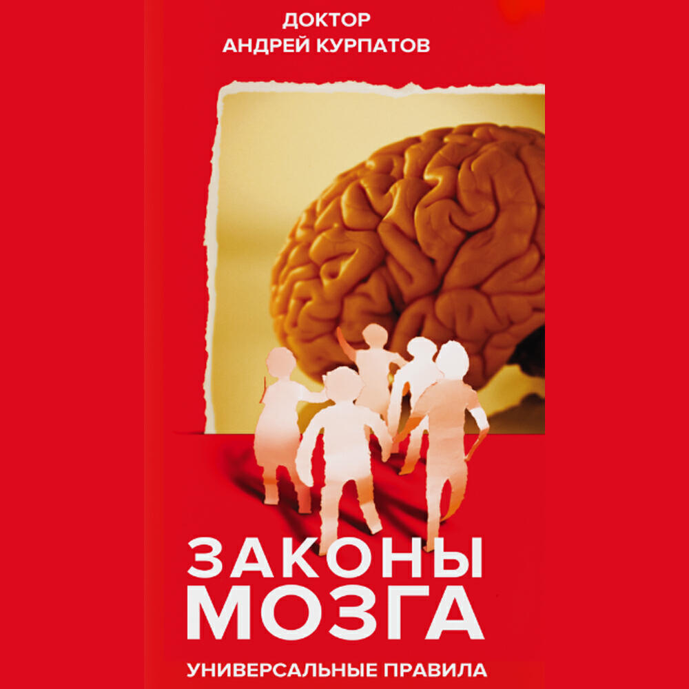 Книга Законы мозга. Универсальные правила