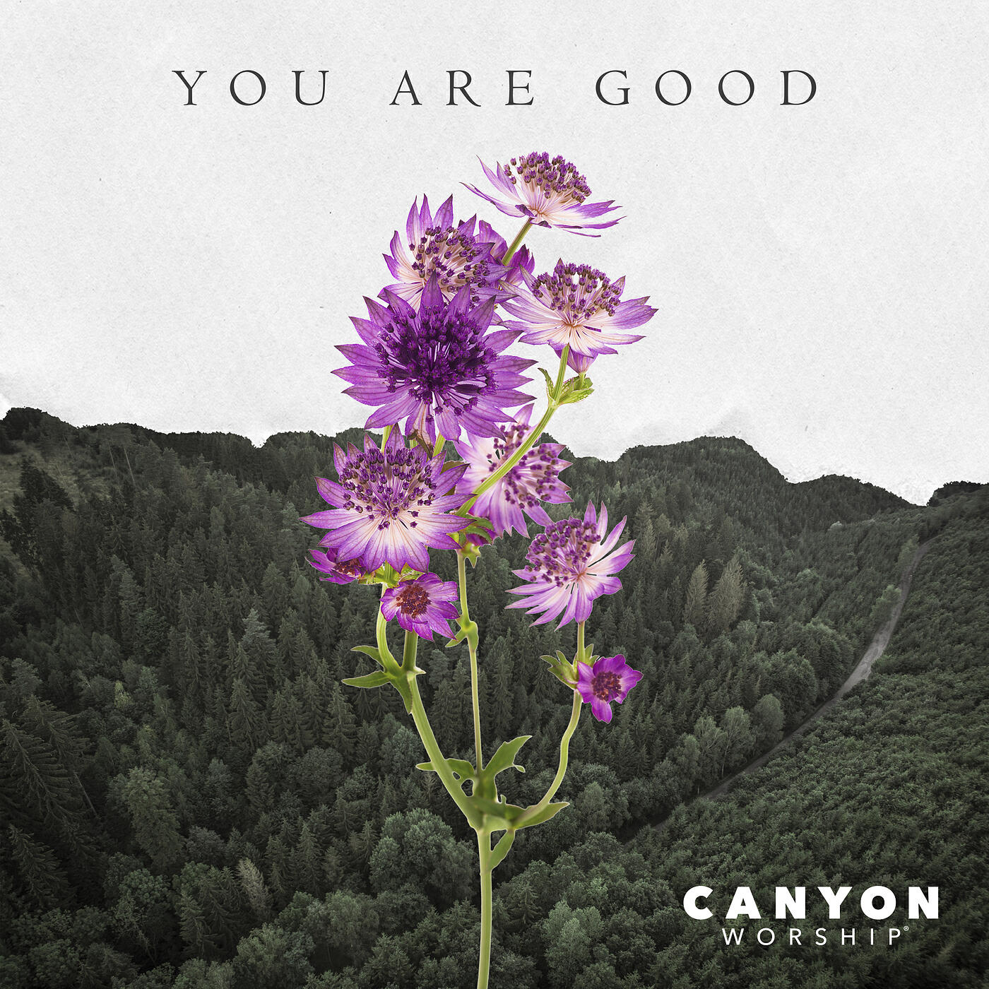 Релиз You Are Good