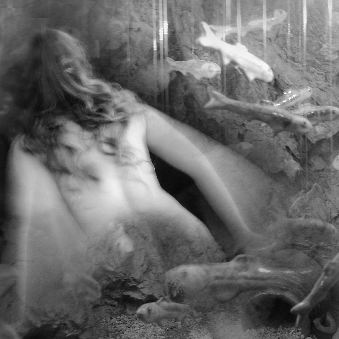 Релиз Siren's Blues