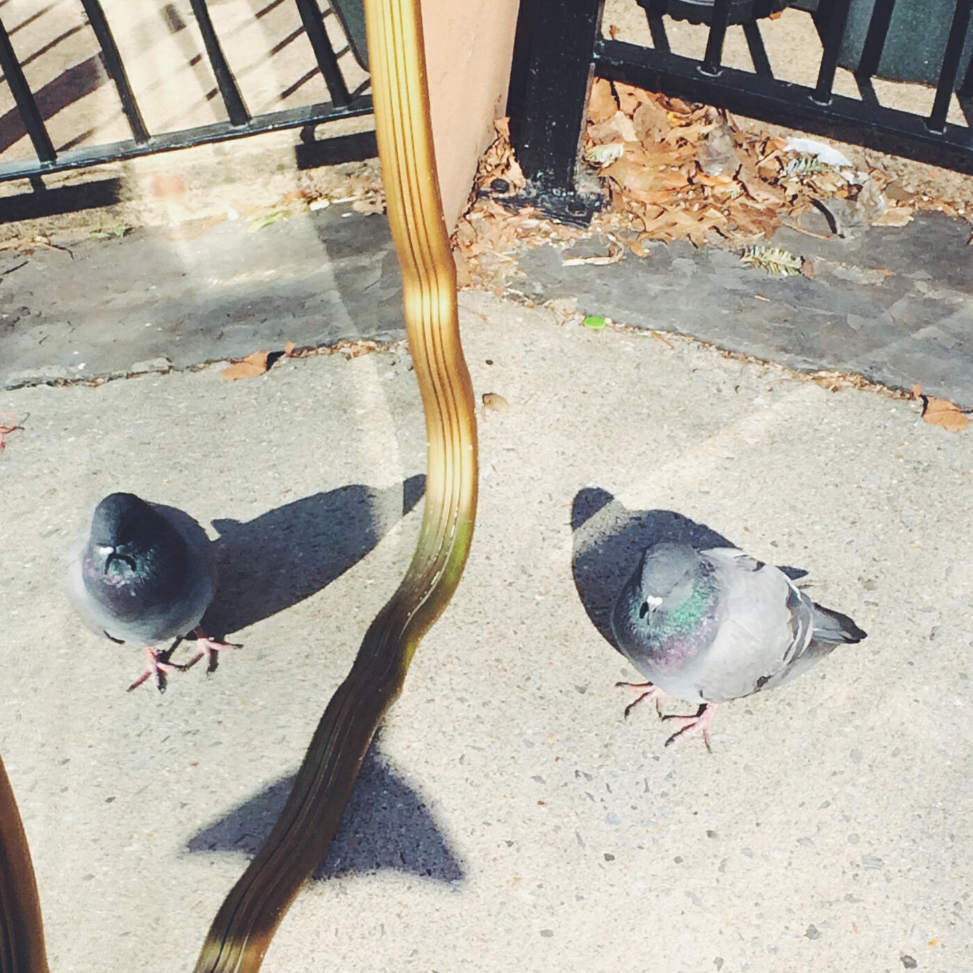 Релиз Like-Minded