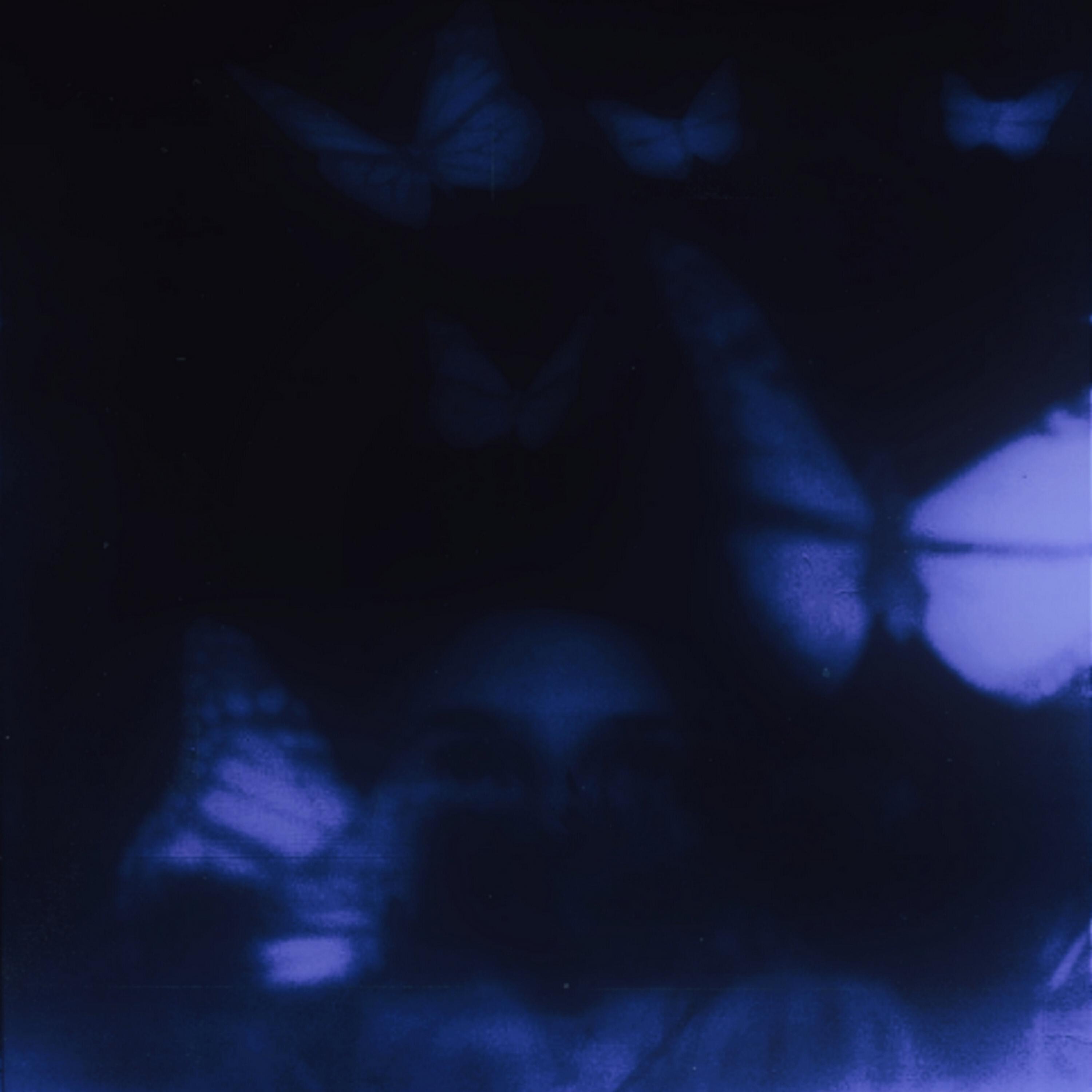 Релиз butterfly affect