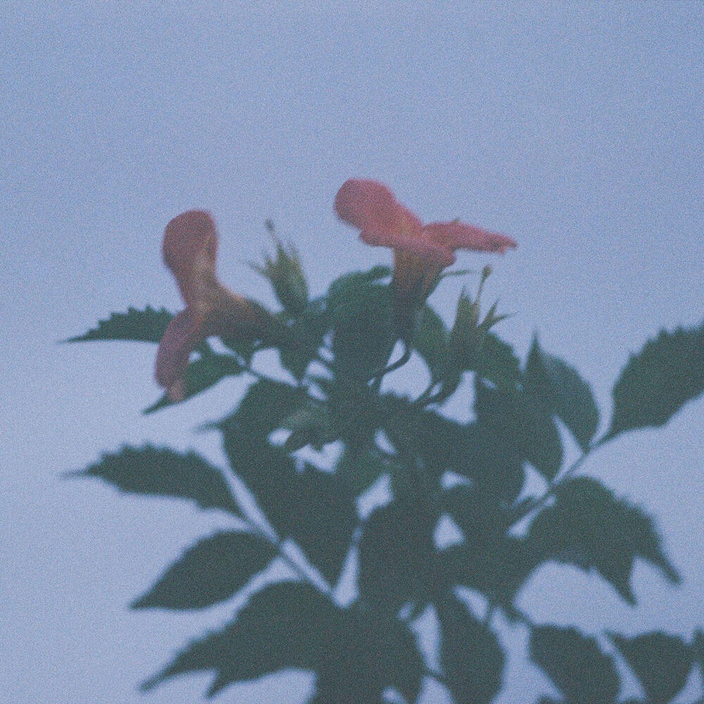 Asagaya Romantics