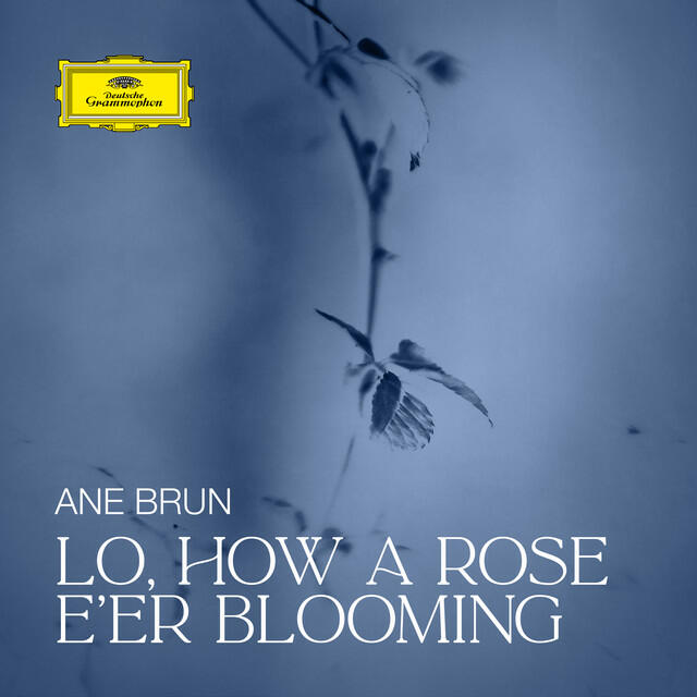Релиз Lo, How a Rose E'er Blooming