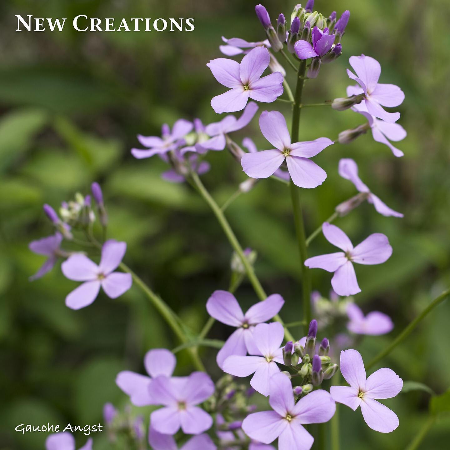 Релиз New Creations