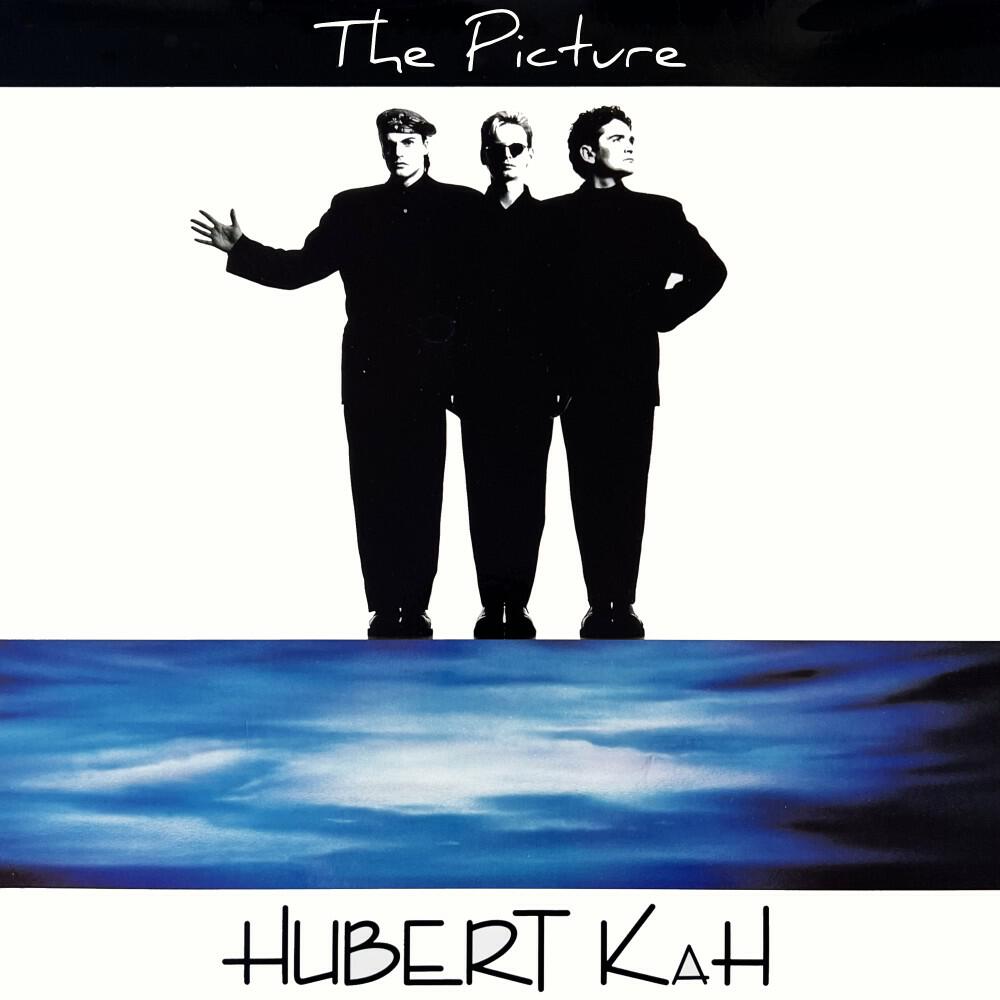 Постер альбома The Picture (Francois Kevorkian Mixes)