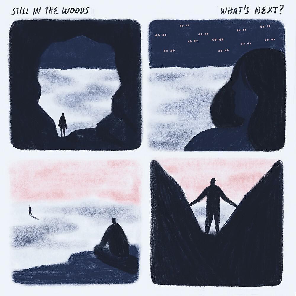 Still in the Woods