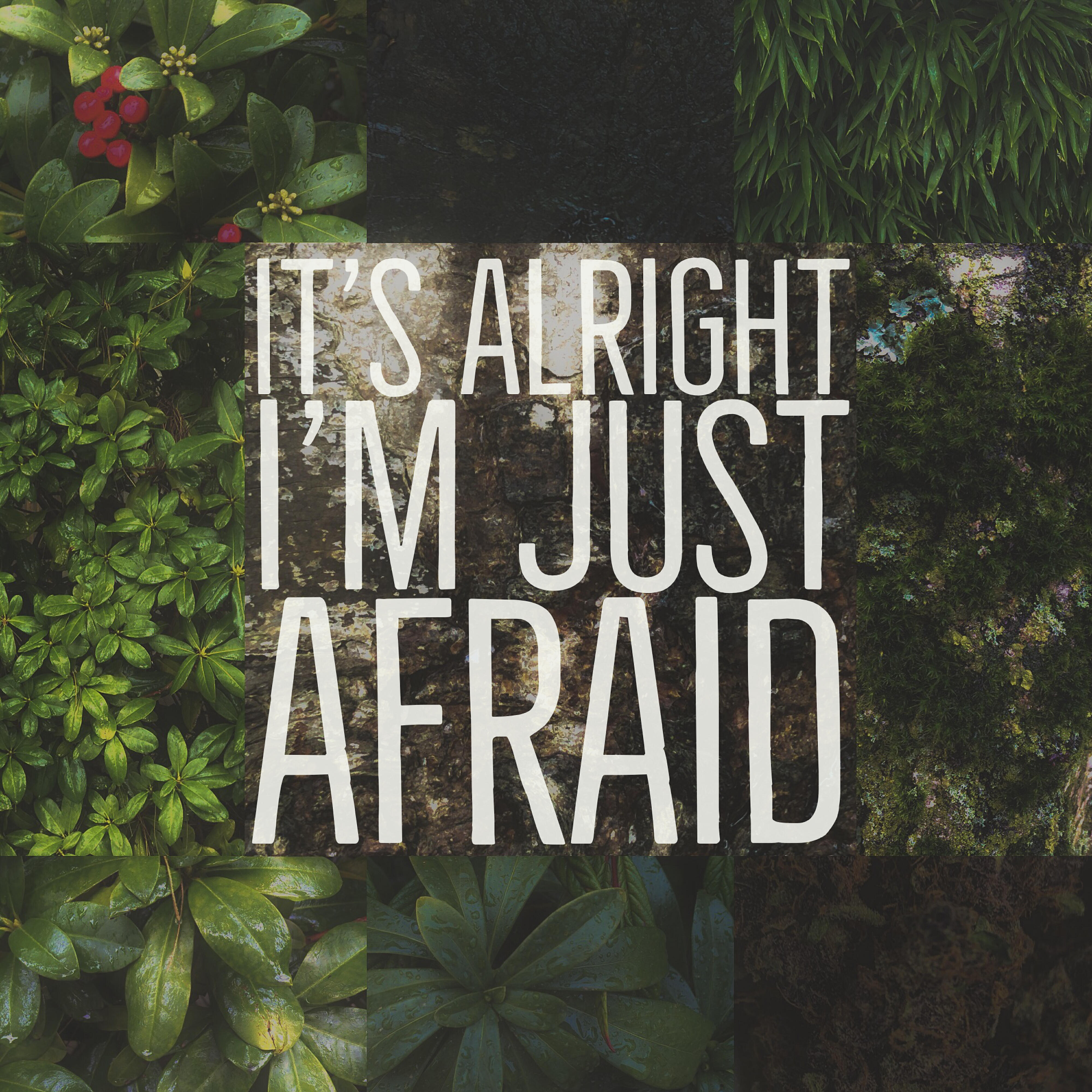 Релиз It's Alright I'm Just Afraid
