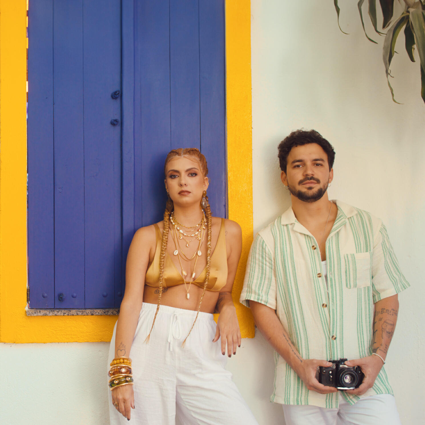 Релиз Cortejo