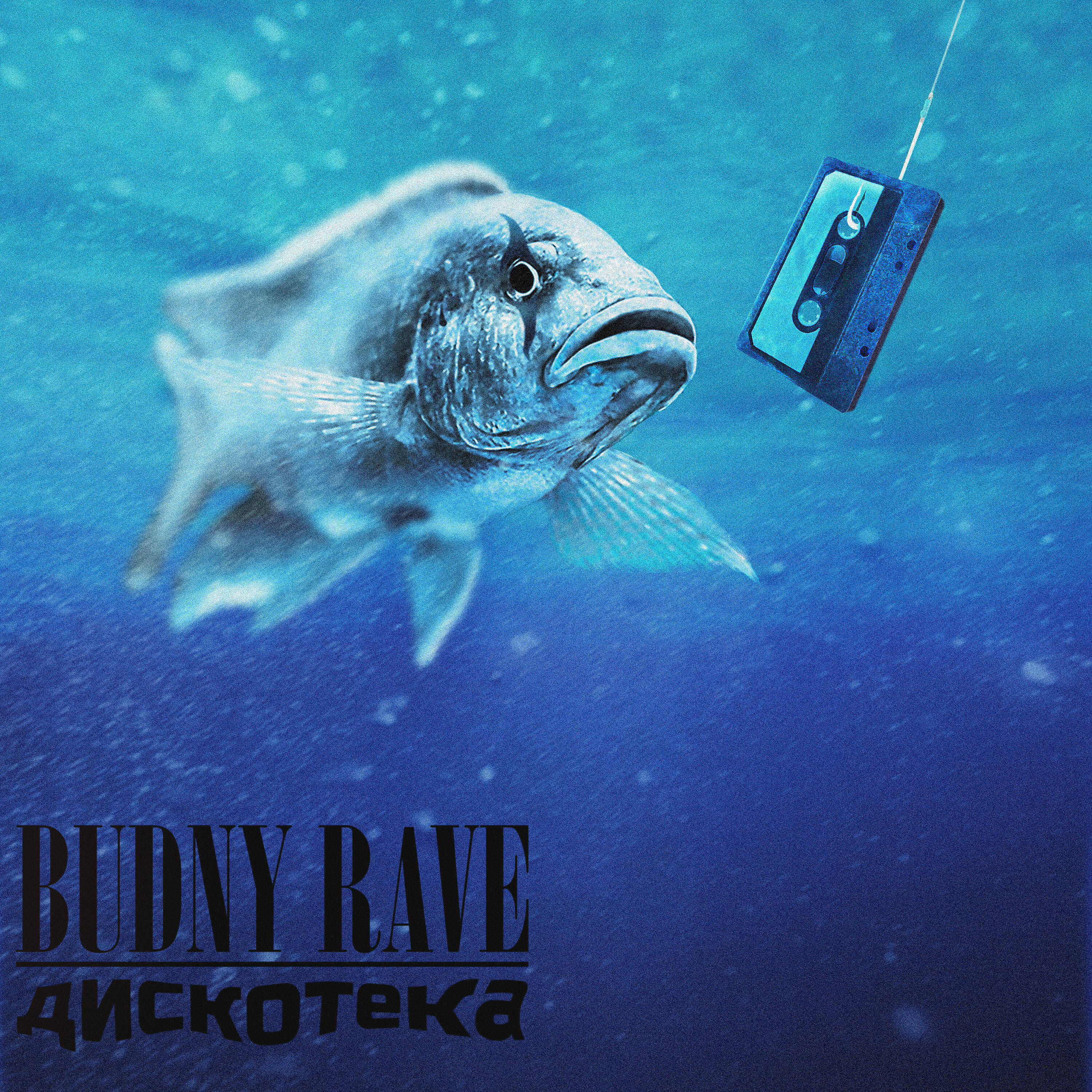 Релиз Дискотека