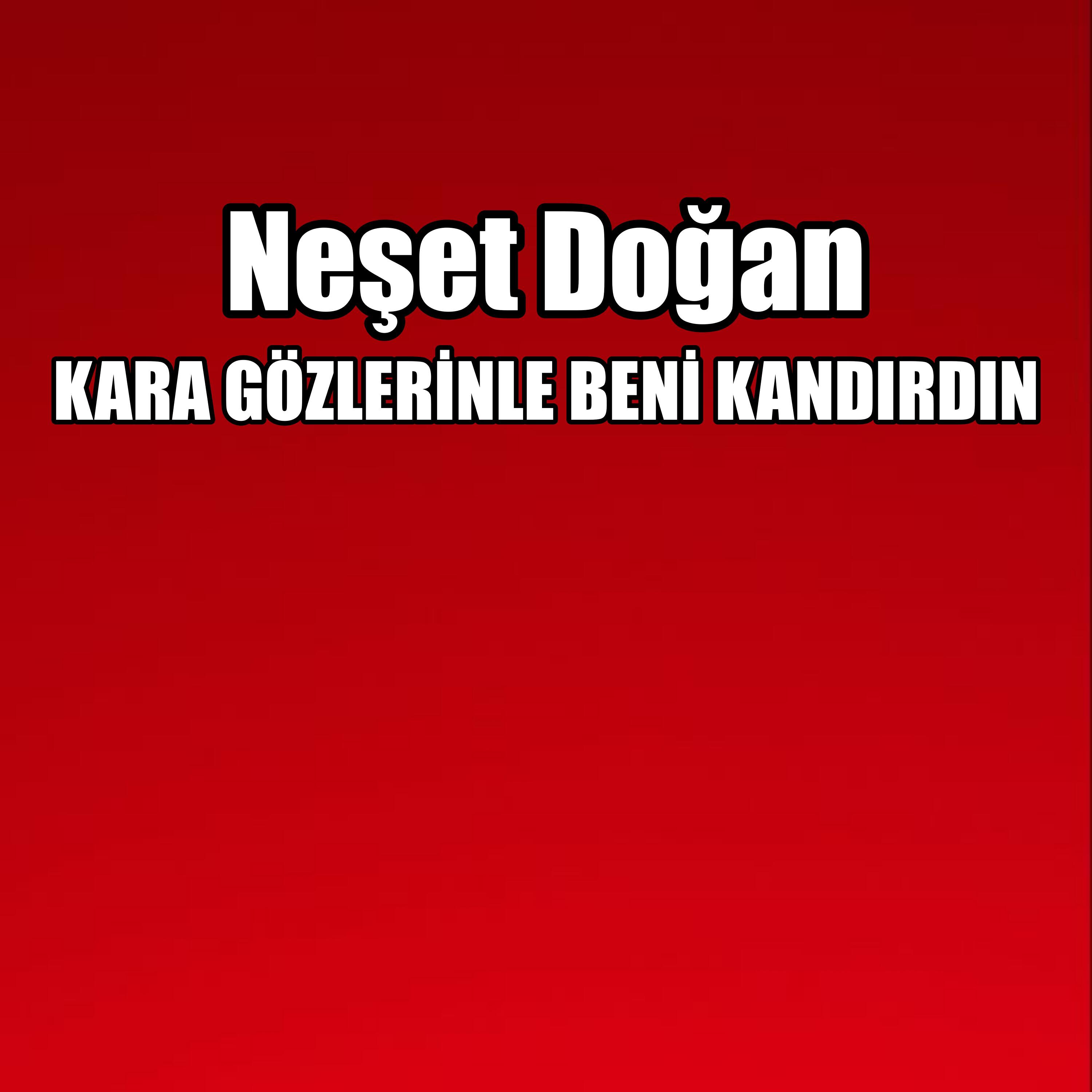 Neşet Doğan