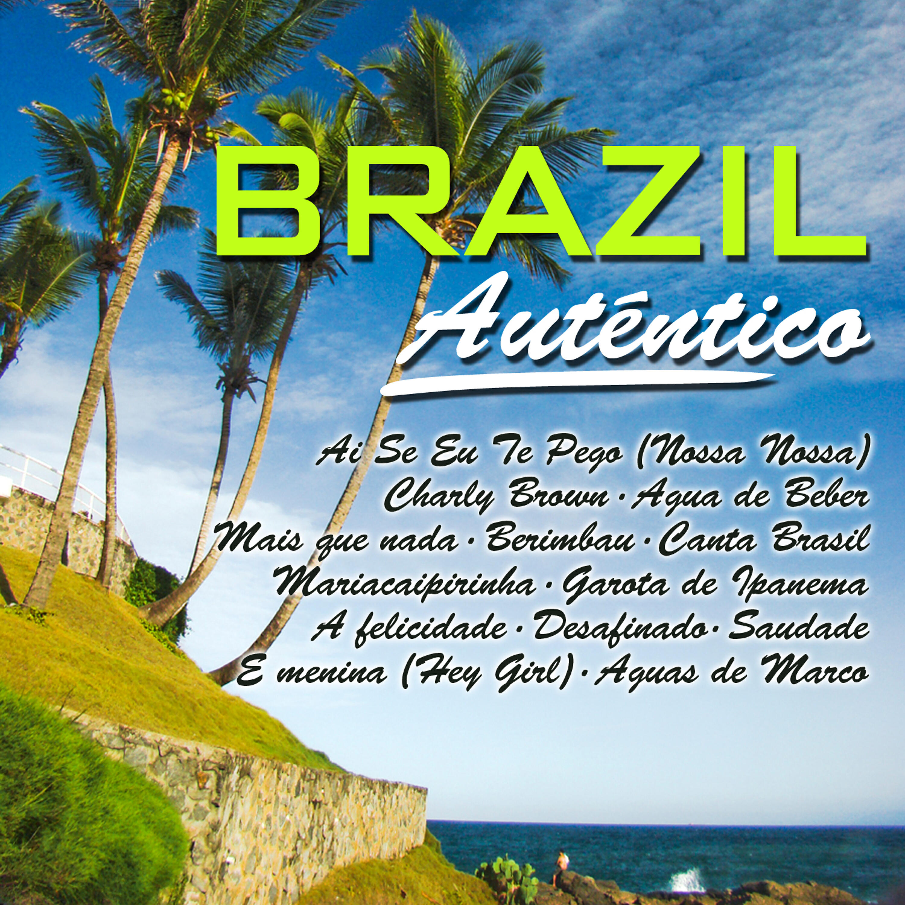 Постер альбома Brazil Auténtico
