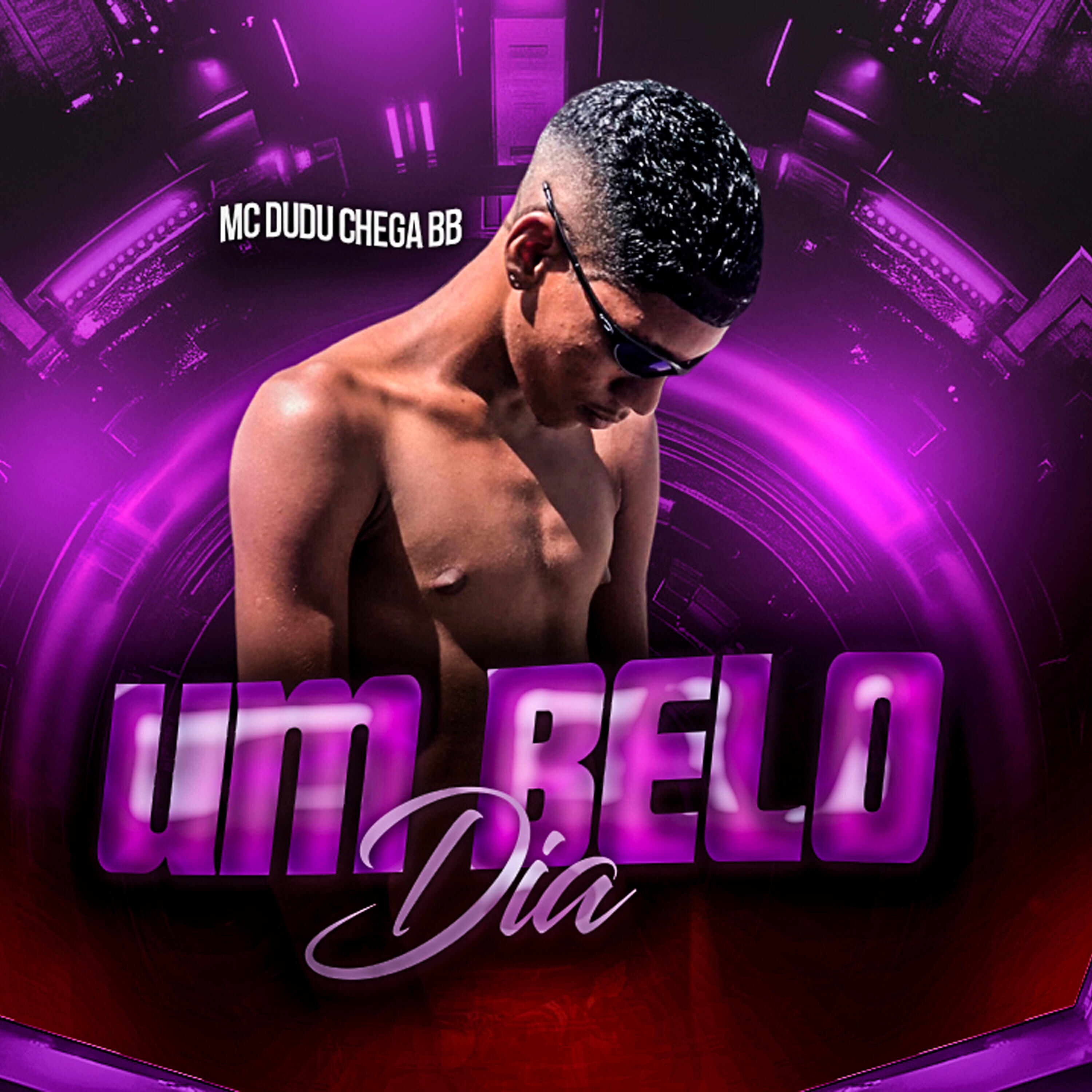 Mc Dudu Chega BB все песни в mp3