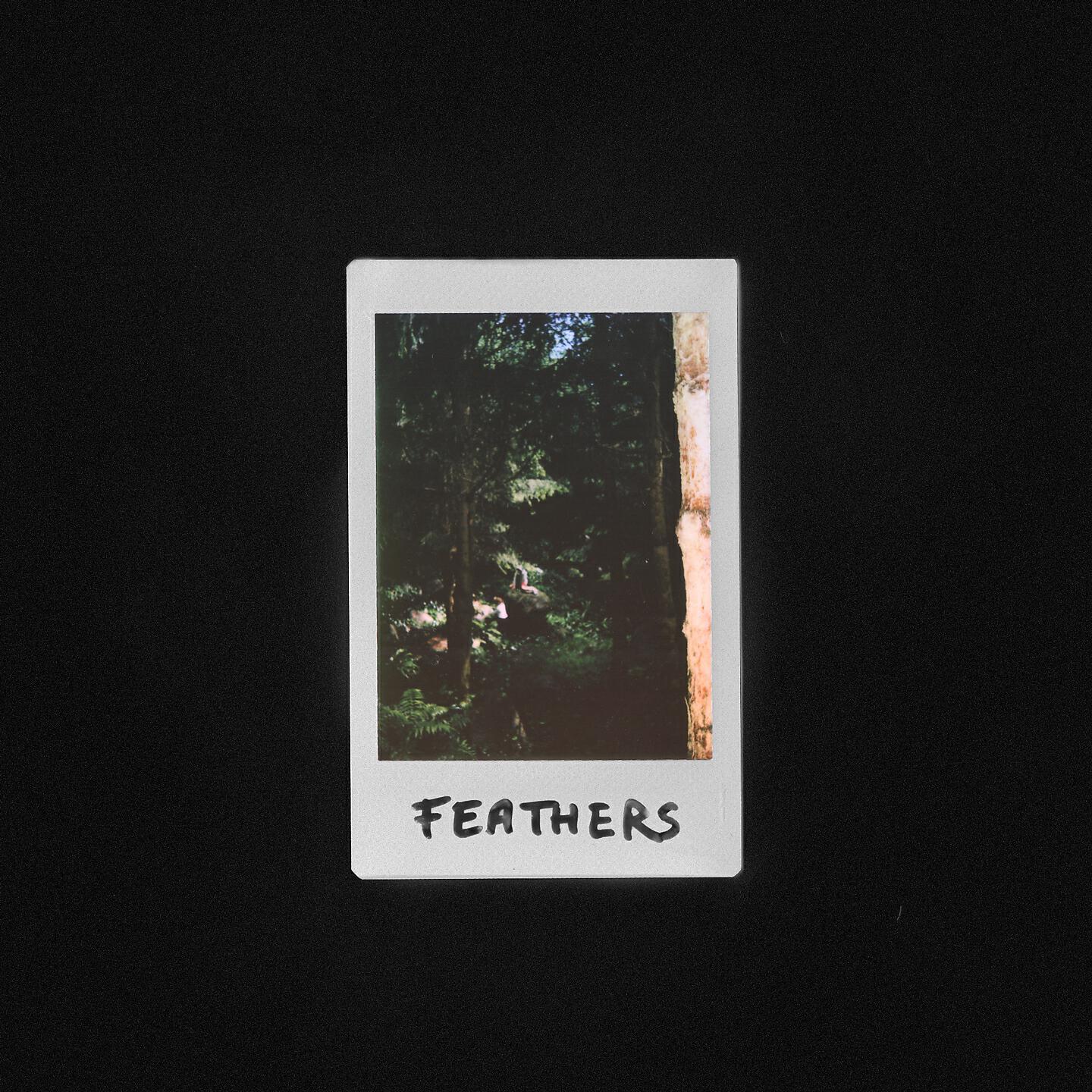 Релиз Feathers