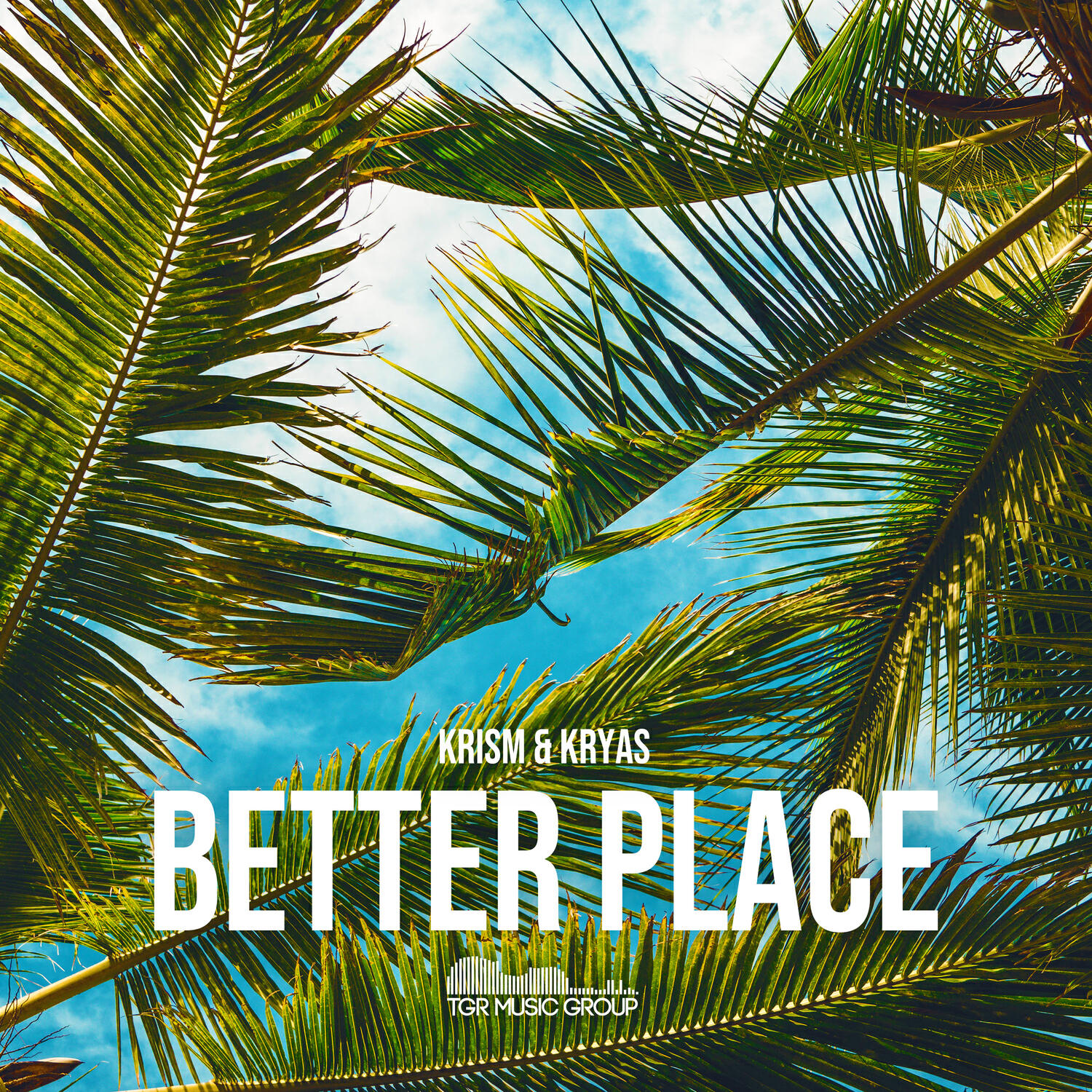 Релиз Better Place