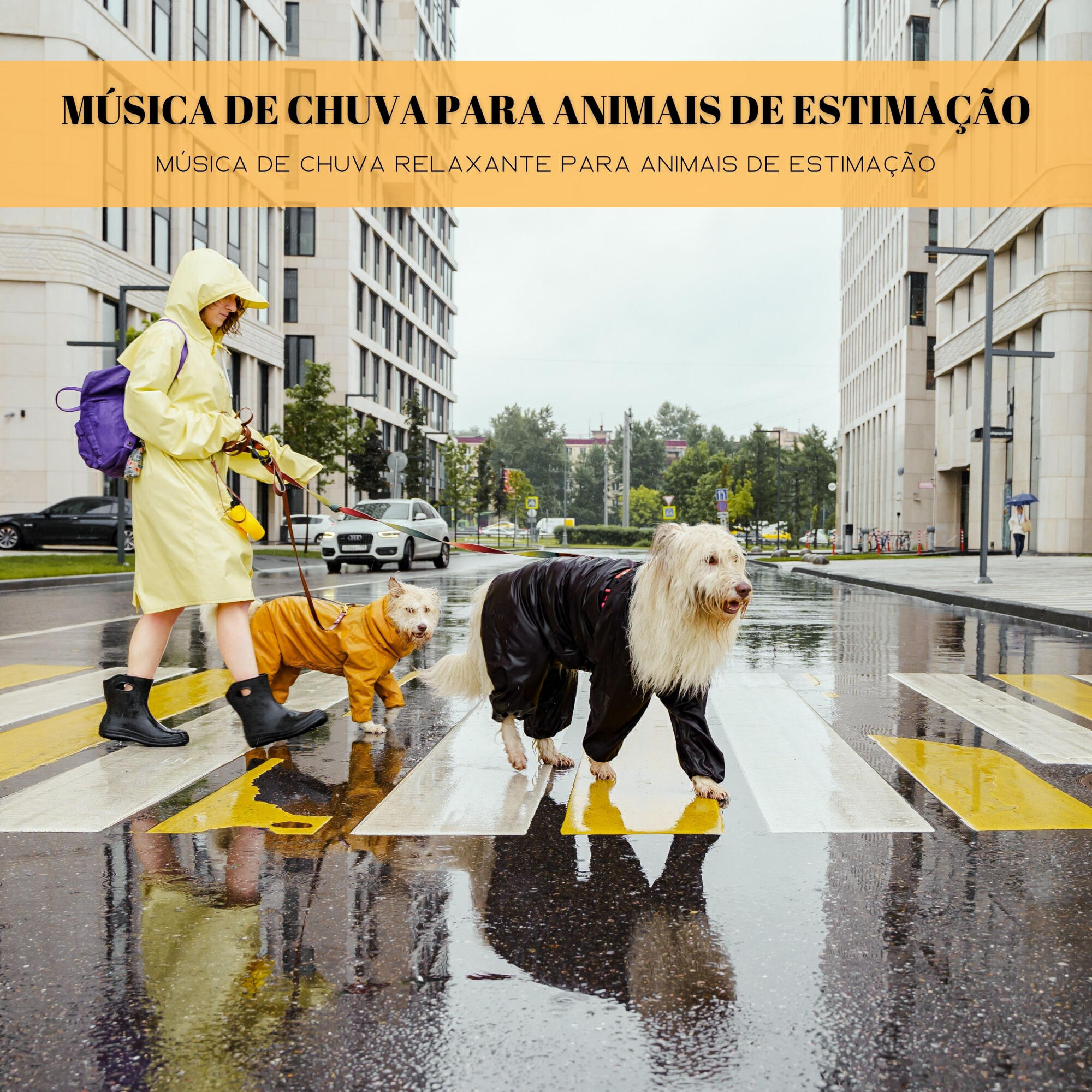 Релиз Música De Chuva Para Animais De Estimação: Música De Chuva Relaxante Para Animais De Estimação