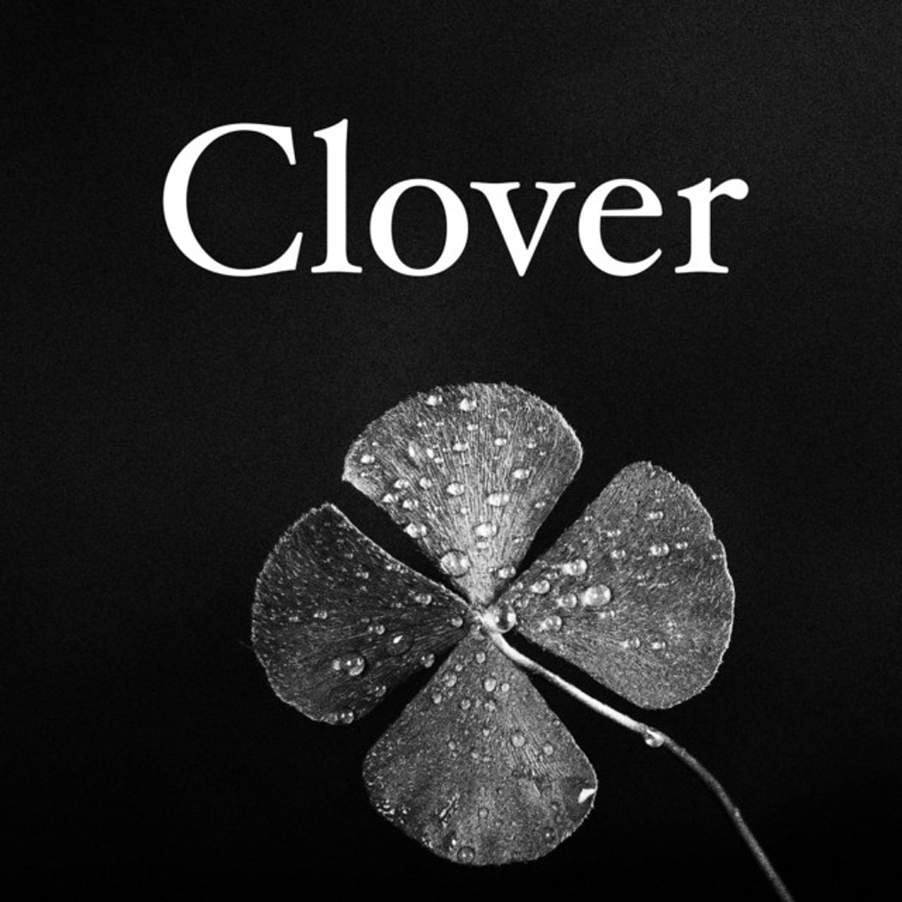 Релиз Clover (Black Clover)