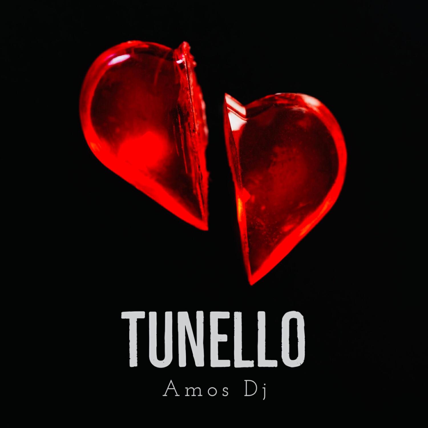 Релиз Tunello