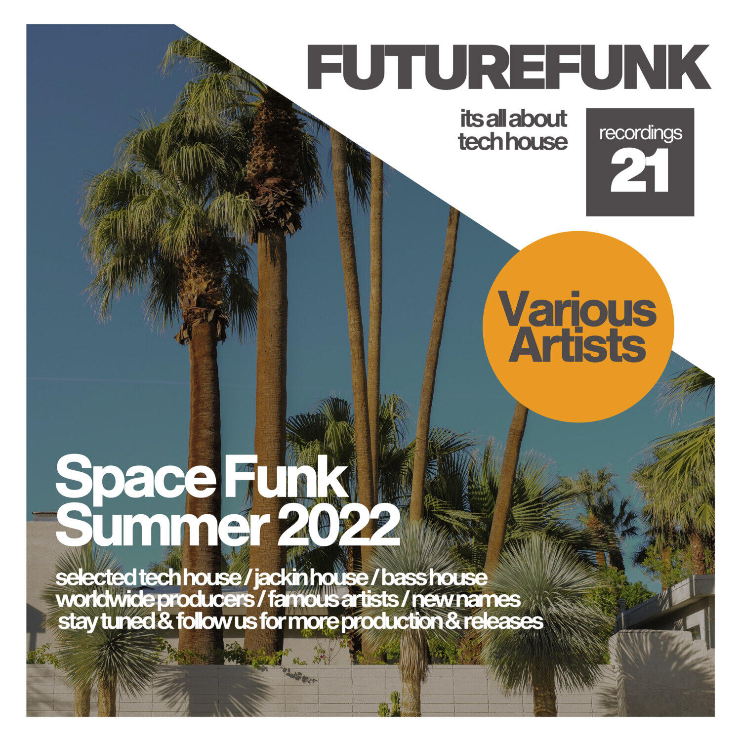Релиз Space Funk Summer 2022