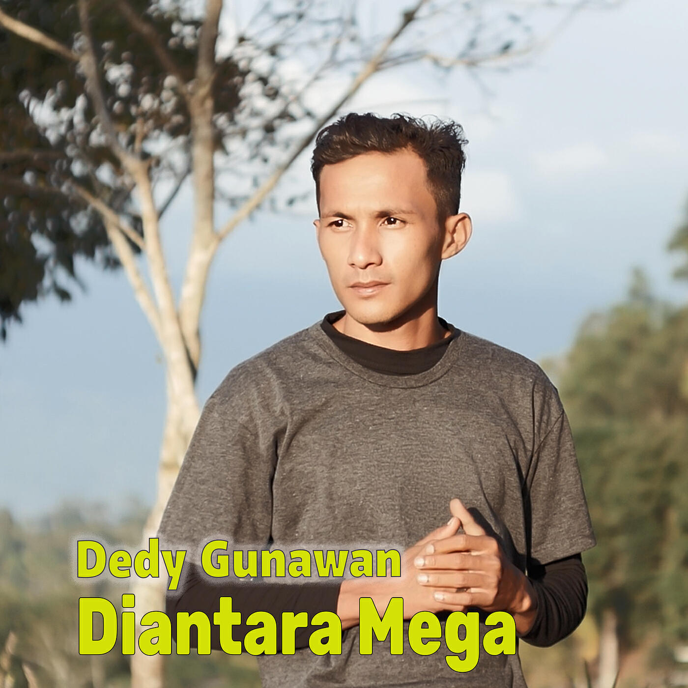 Релиз Diantara Mega