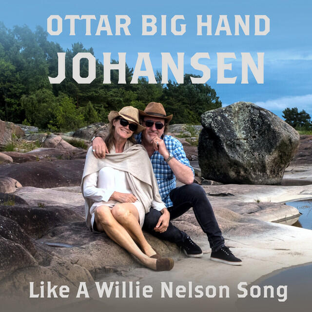 Релиз Like a Willie Nelson Song (Heidi's Song)
