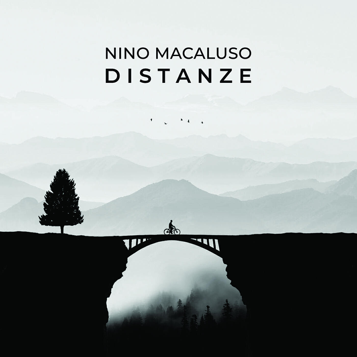 Релиз Distanze