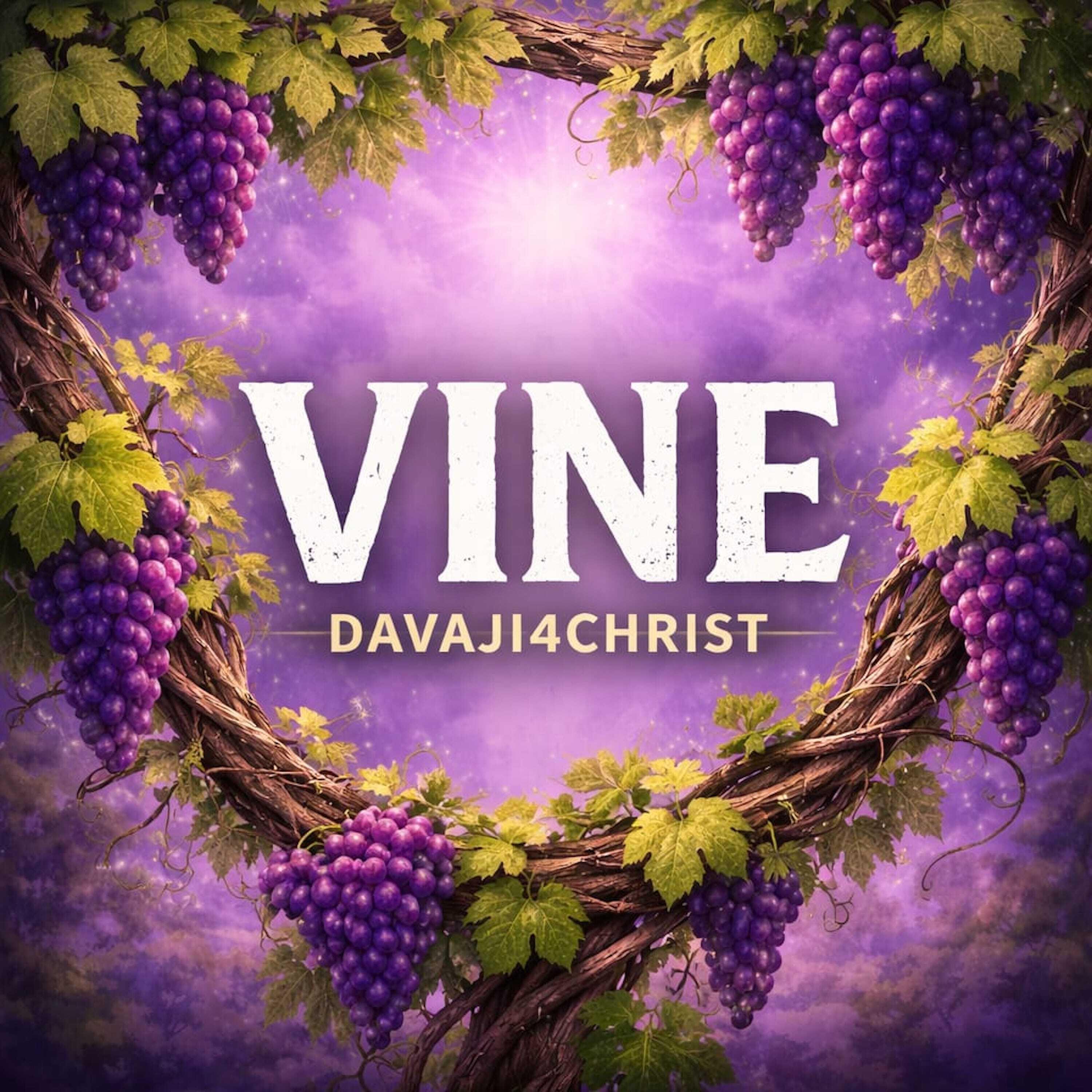 Релиз Vine