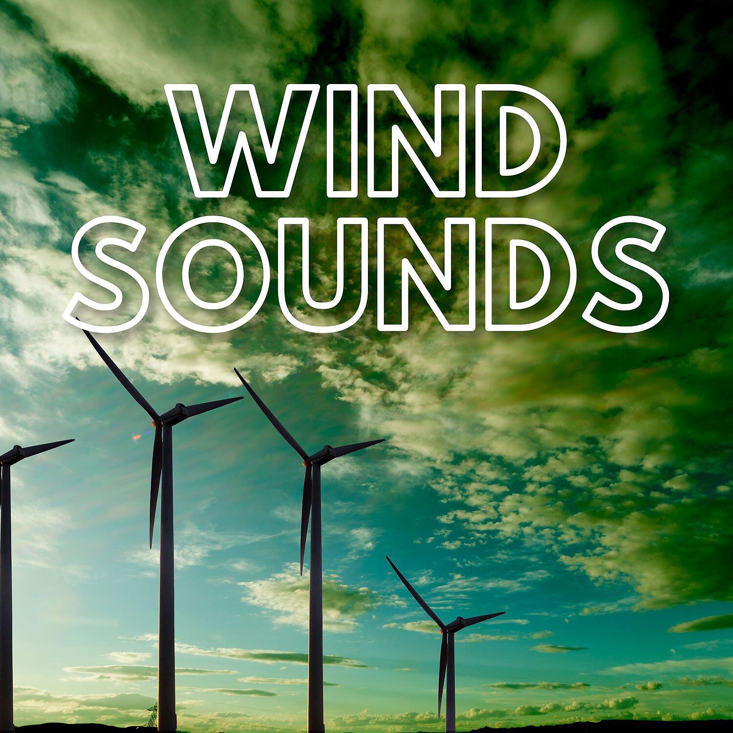 Релиз Wind Sounds (Relaxing, Calming and Soothing Noises)