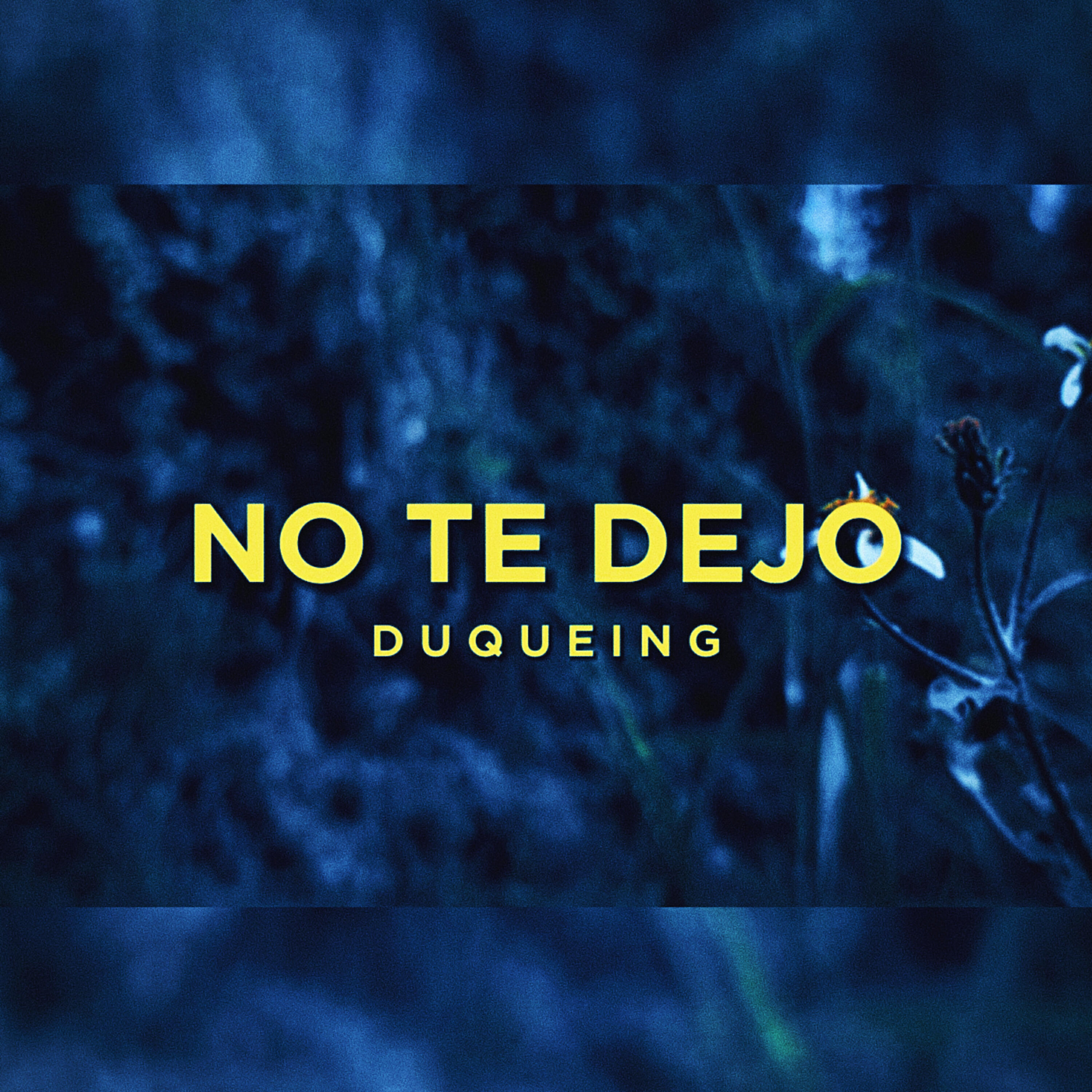 Релиз No Te Dejo