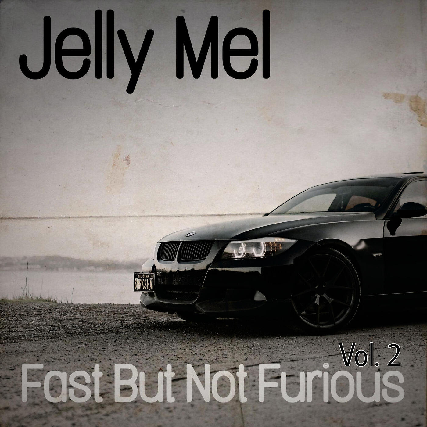 Релиз Fast but Not Furious, Vol. 2