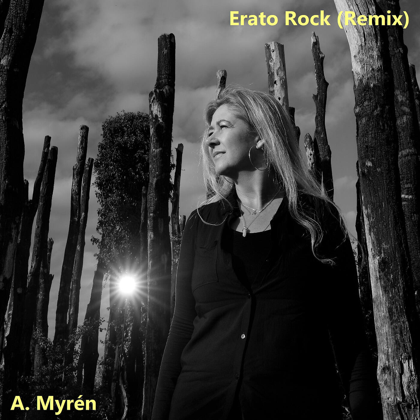 Релиз Erato Rock (Remix)