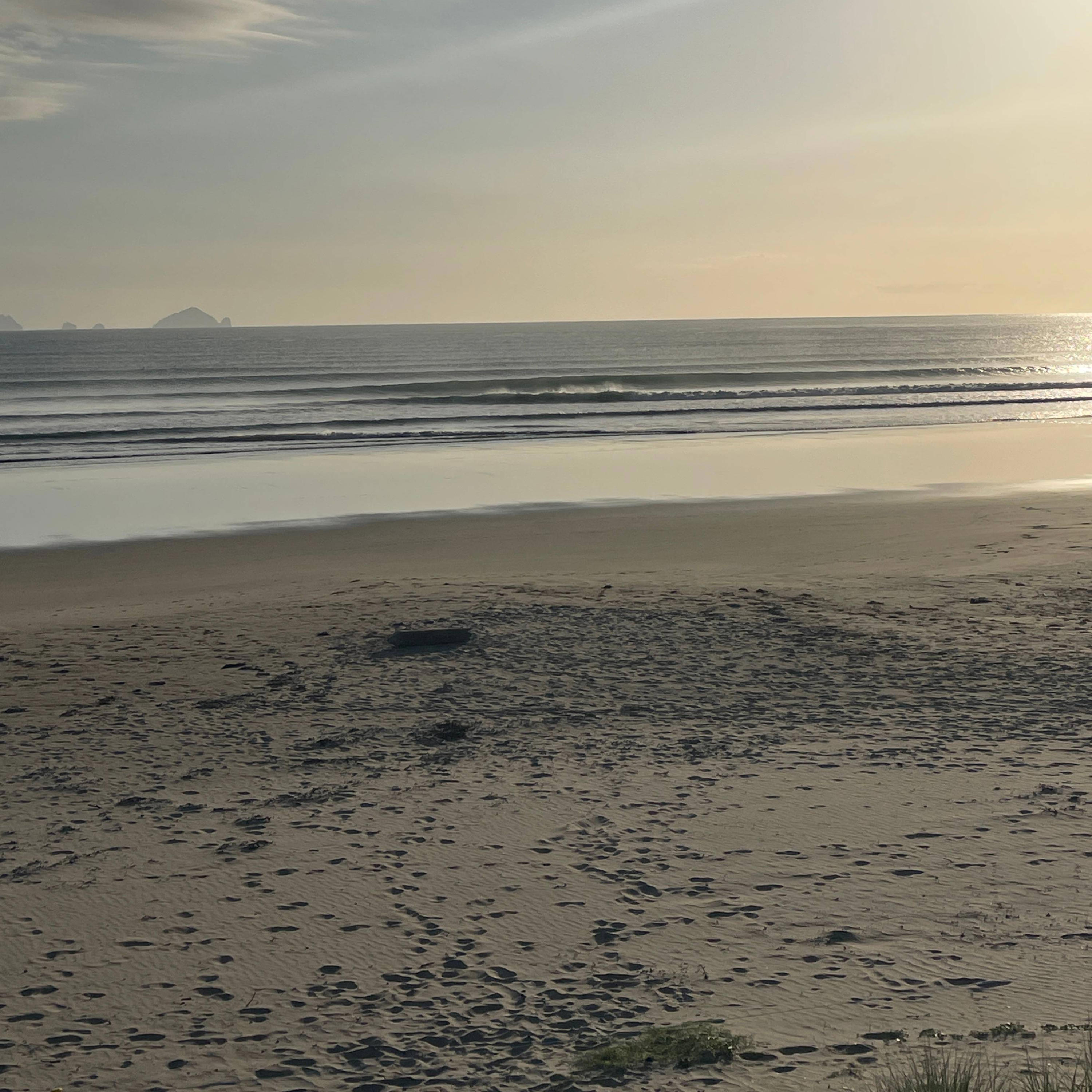 Трек New Zealand Coromandel soothing ocean waves, summer crickets & gentle birdsong