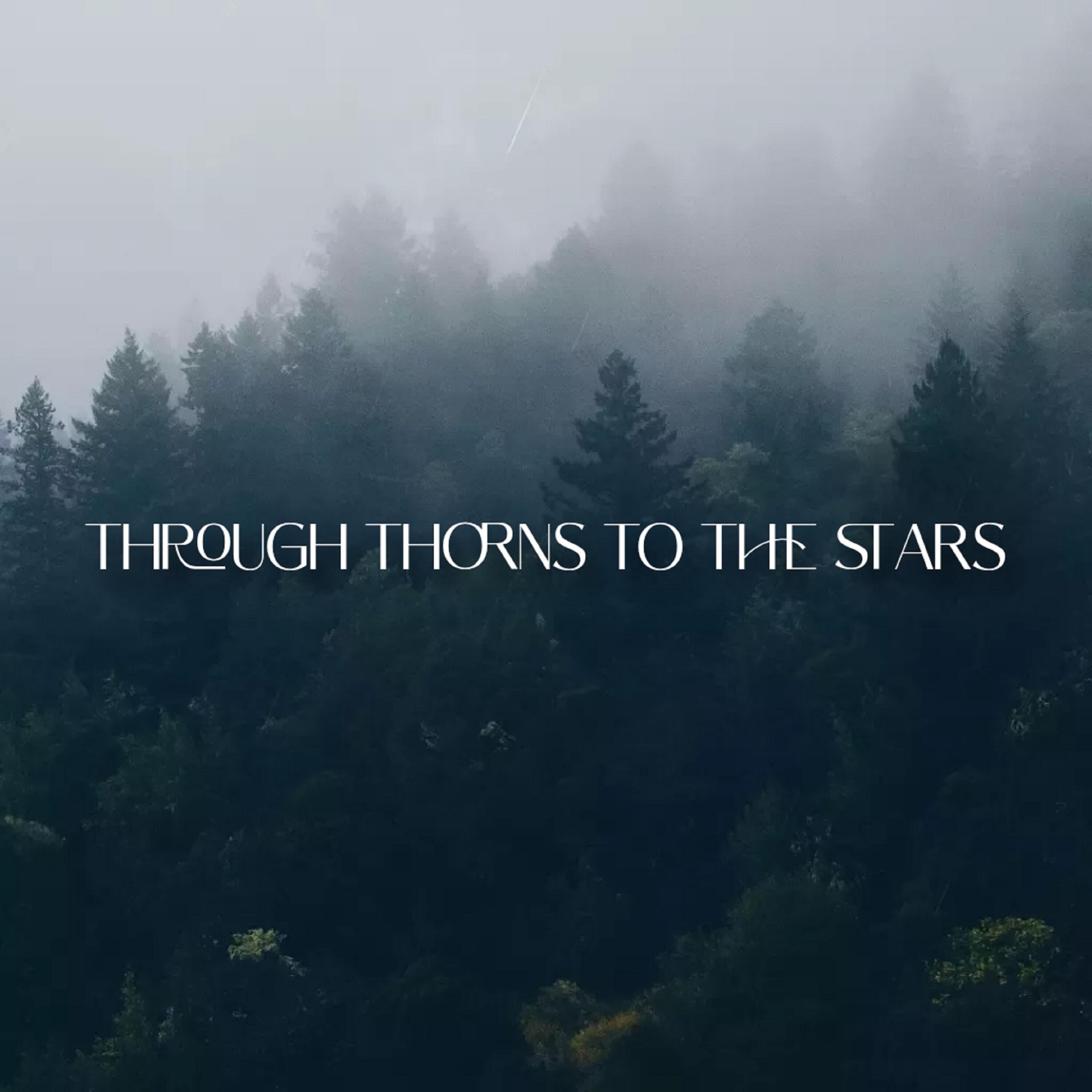 Релиз Through thorns to the stars