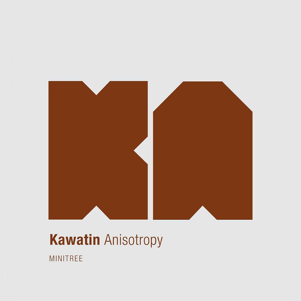 Релиз Anisotropy