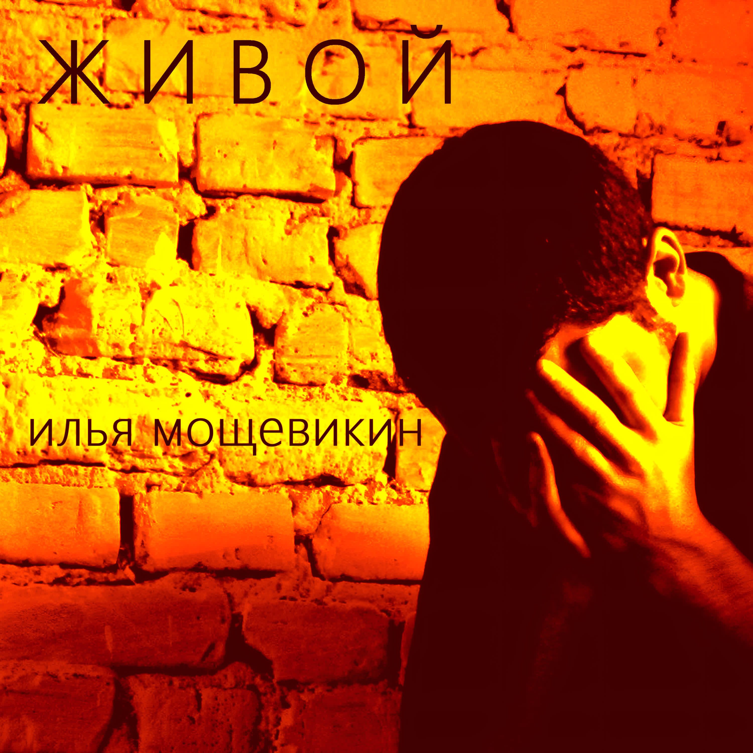 Релиз Живой