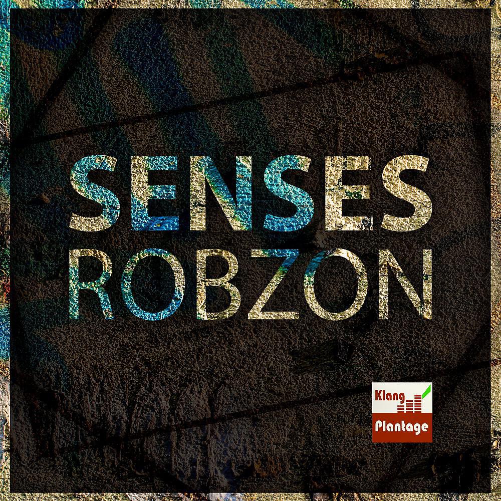 Релиз Senses