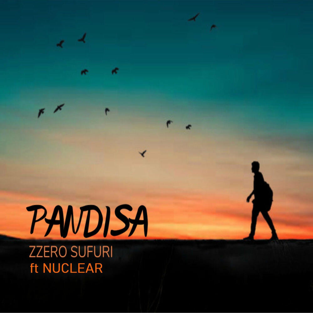 Релиз Pandisa