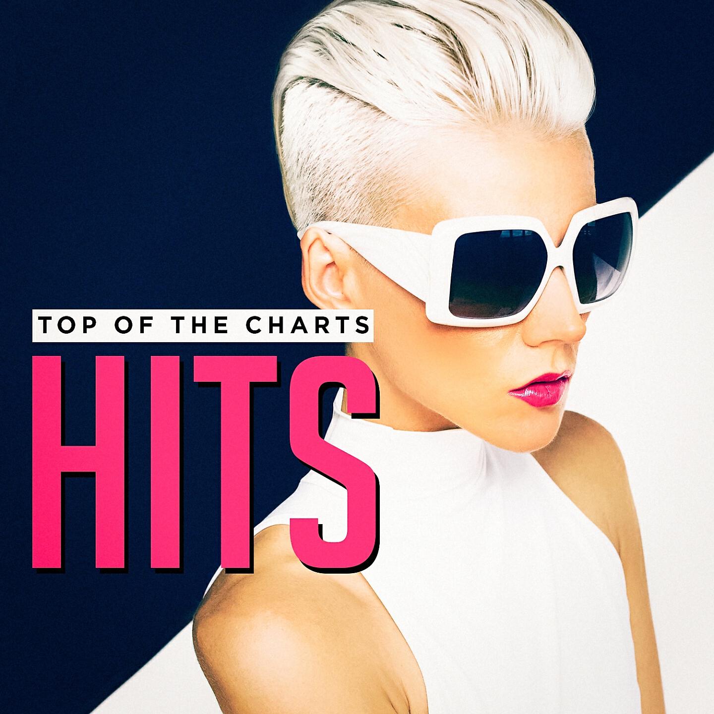 Релиз Top of the Charts Hits