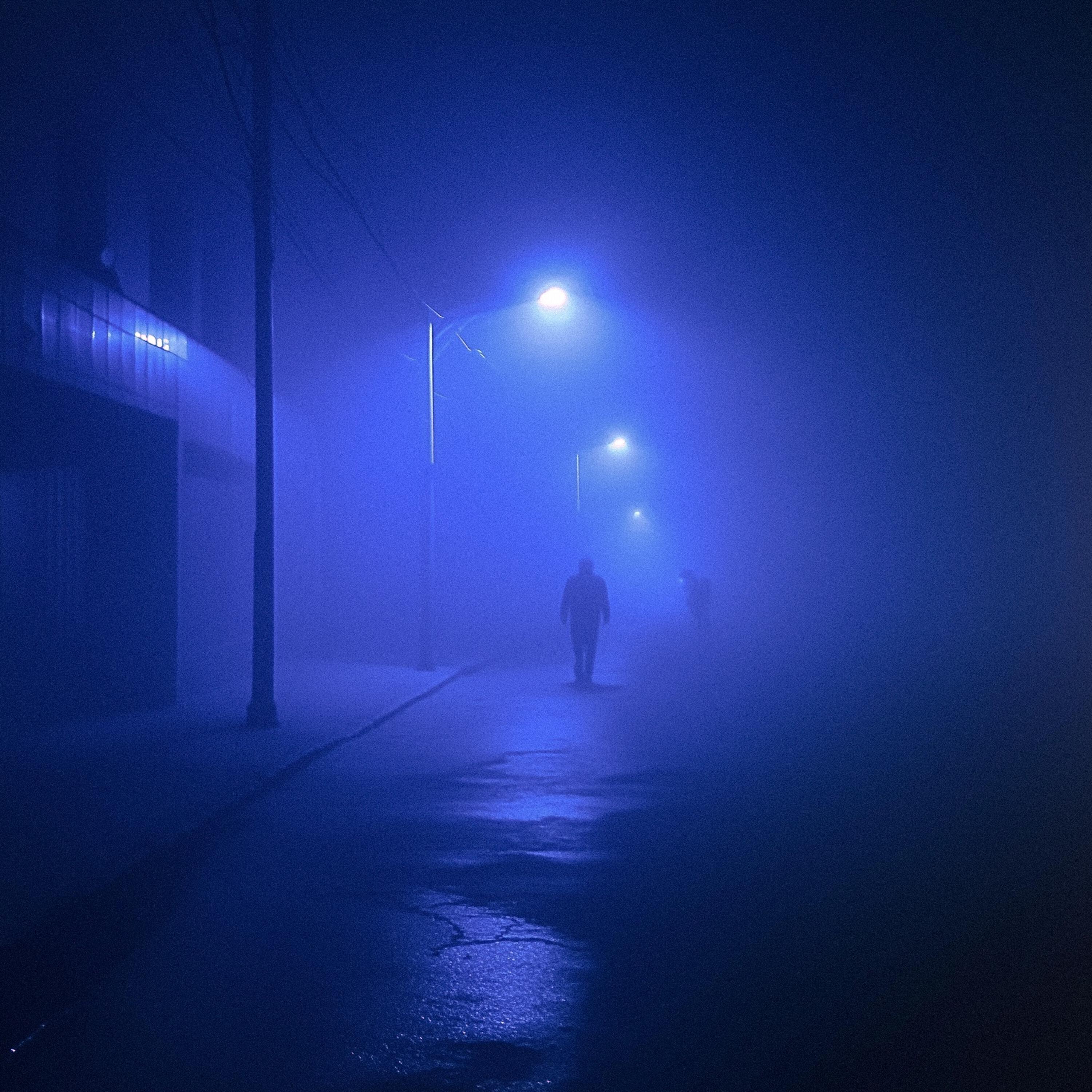 Релиз euphoria