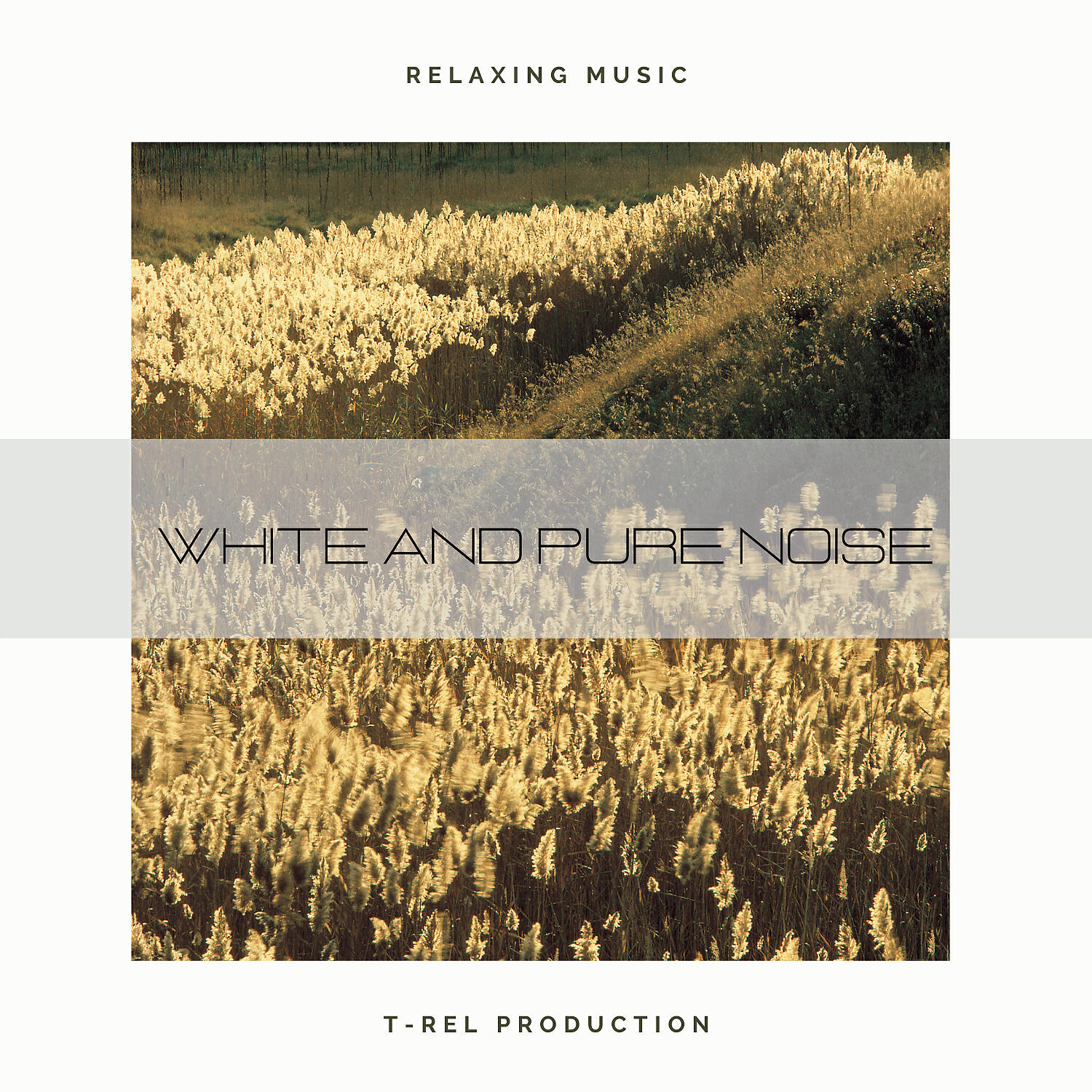 Релиз White And Pure Noise