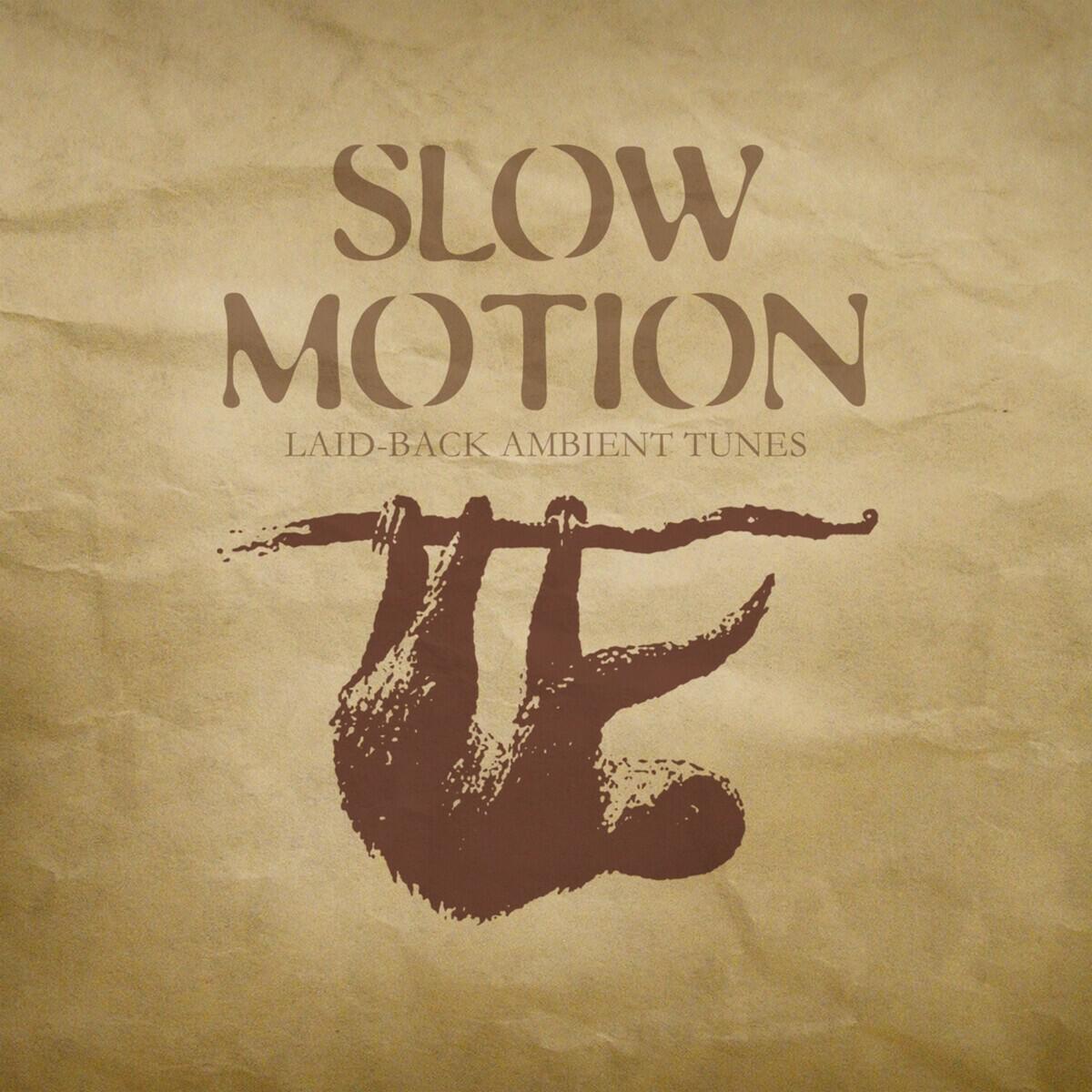 Релиз Slow Motion