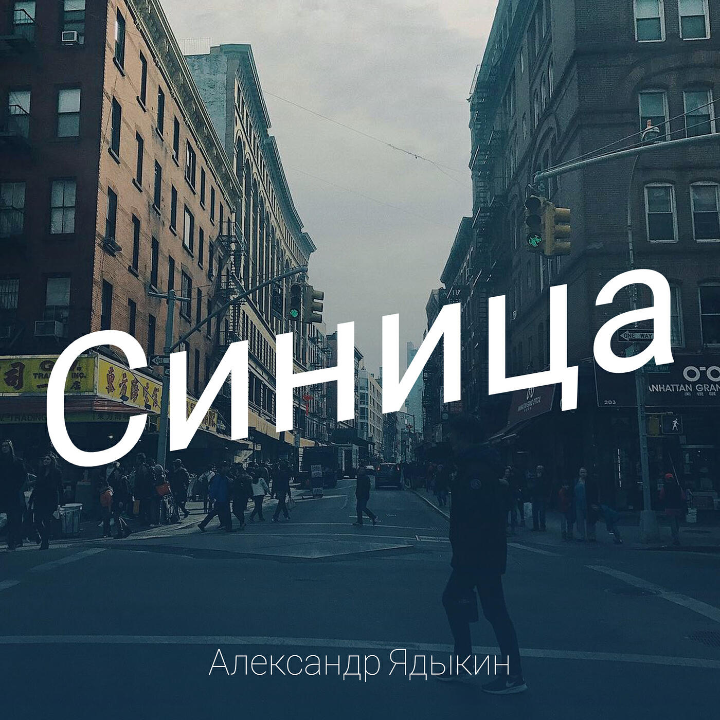Релиз Синица