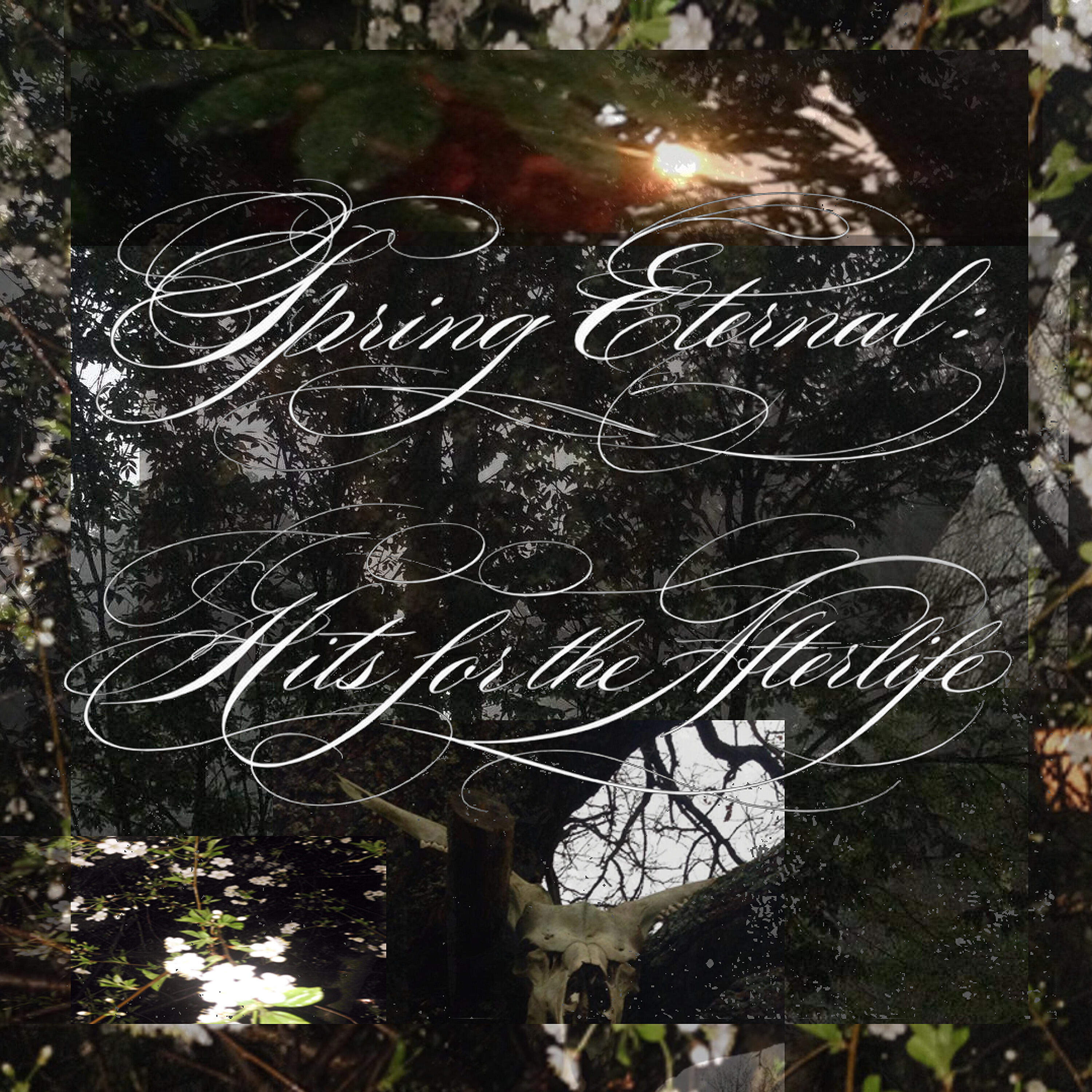 Релиз Spring Eternal: Hits for the Afterlife
