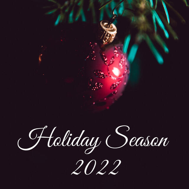 Постер альбома Holiday Season 2022