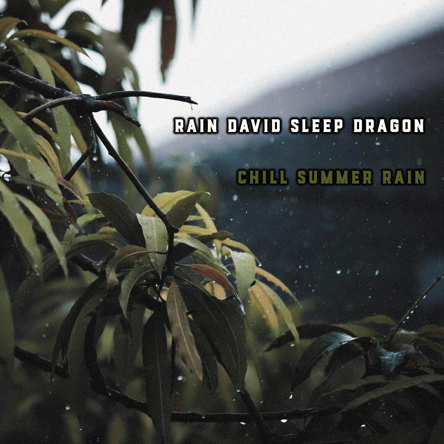 Постер альбома Chill Summer Rain