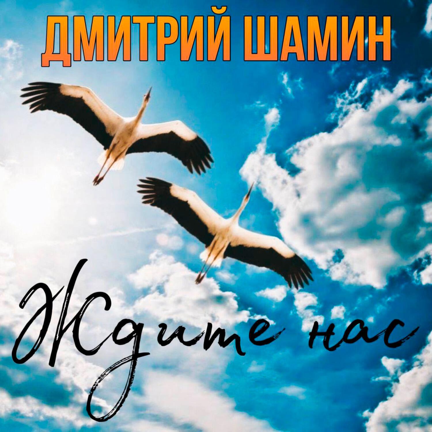 Релиз Ждите нас