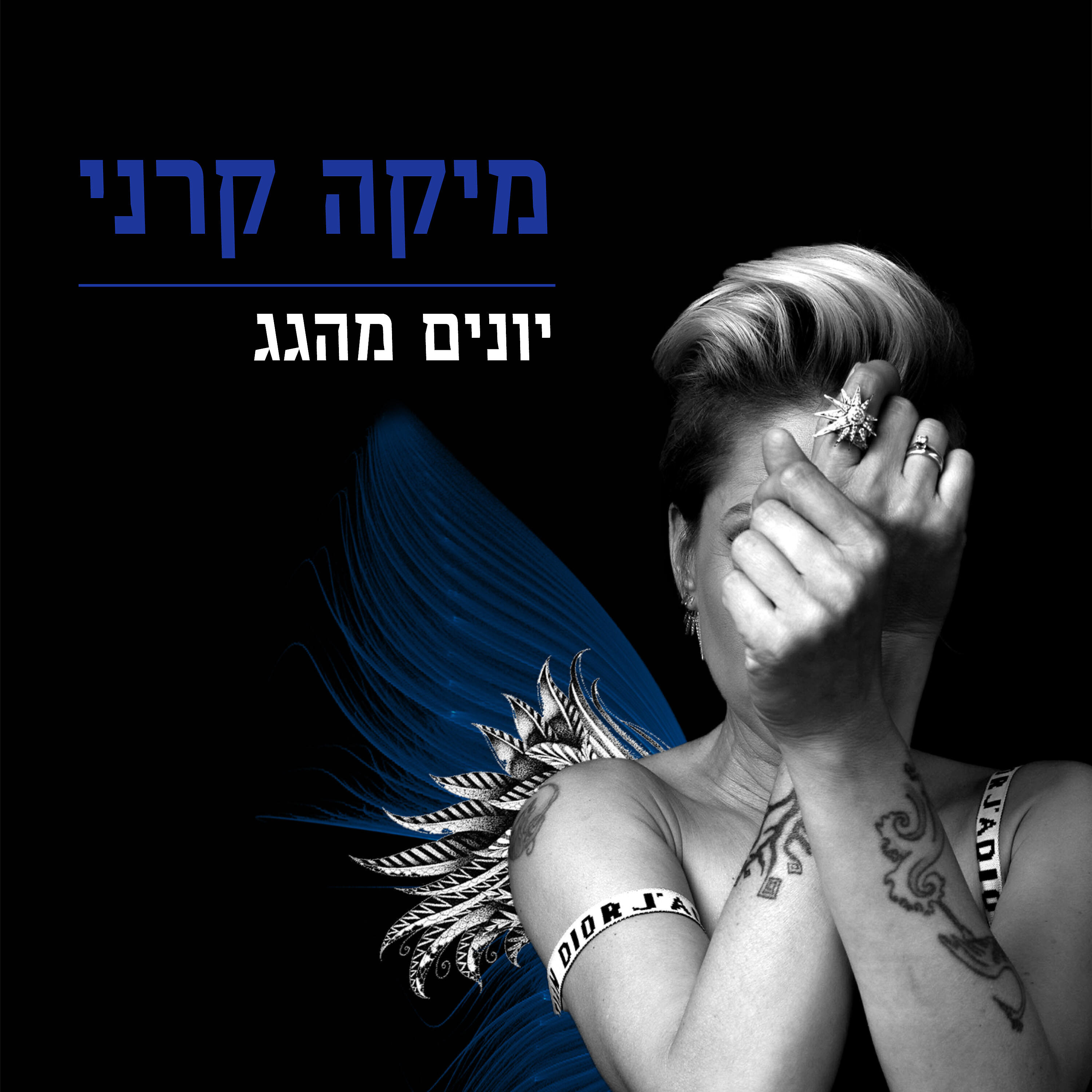 Релиз יונים מהגג