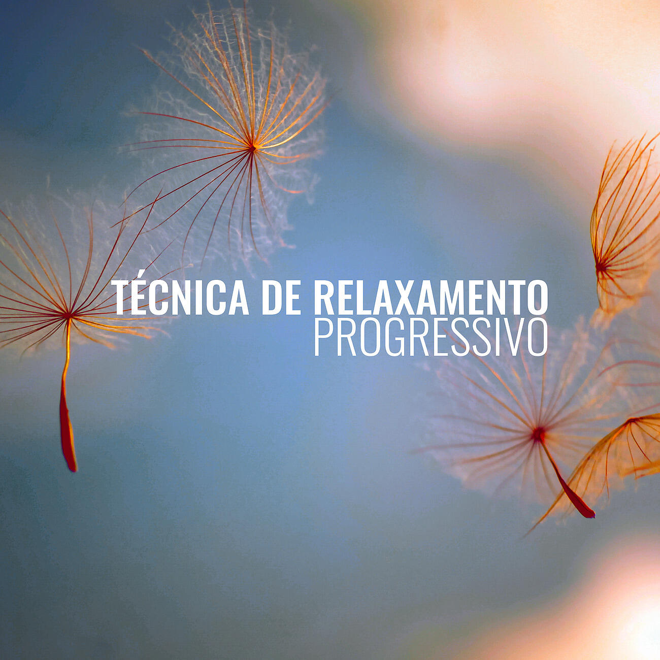 Релиз Técnica de Relaxamento Progressivo